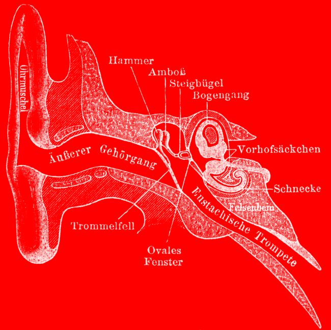 Bilder im Kopf_Abbildung_Meyers grosses Konversationslexikon 1905.jpg